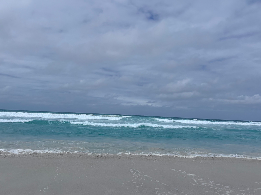 海龟湾海滩-圣克鲁斯必去景点