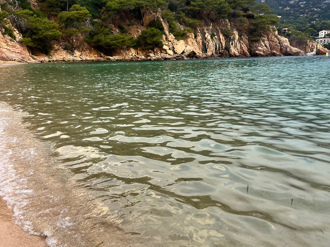 Platja Cala Aiguablava-贝格必去景点