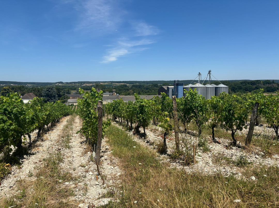 Domaine Charles Joguet