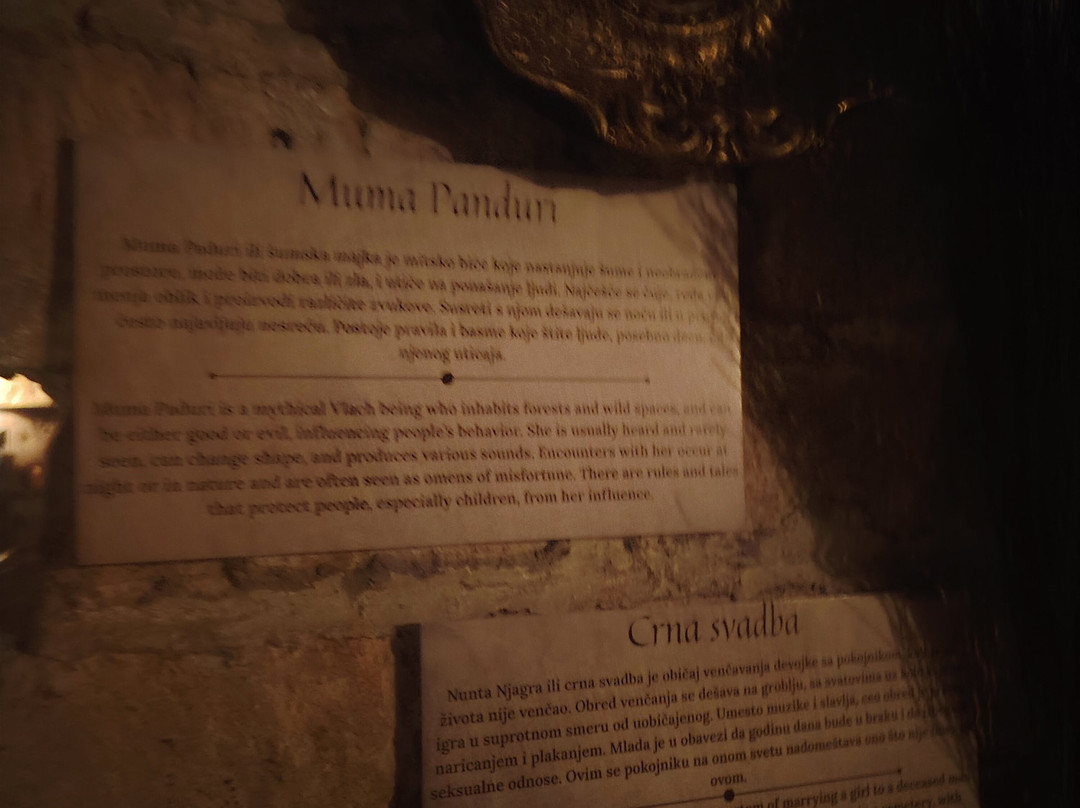 Museum of the Paranormal-贝尔格莱德必去景点
