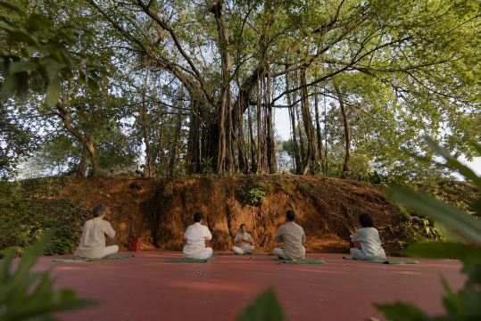 The Postcard Ayurveda Retreat, Old Goa, A Sitaram Ayurveda Experience-旅行者