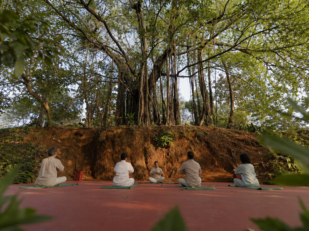 The Postcard Ayurveda Retreat, Old Goa, A Sitaram Ayurveda Experience主图