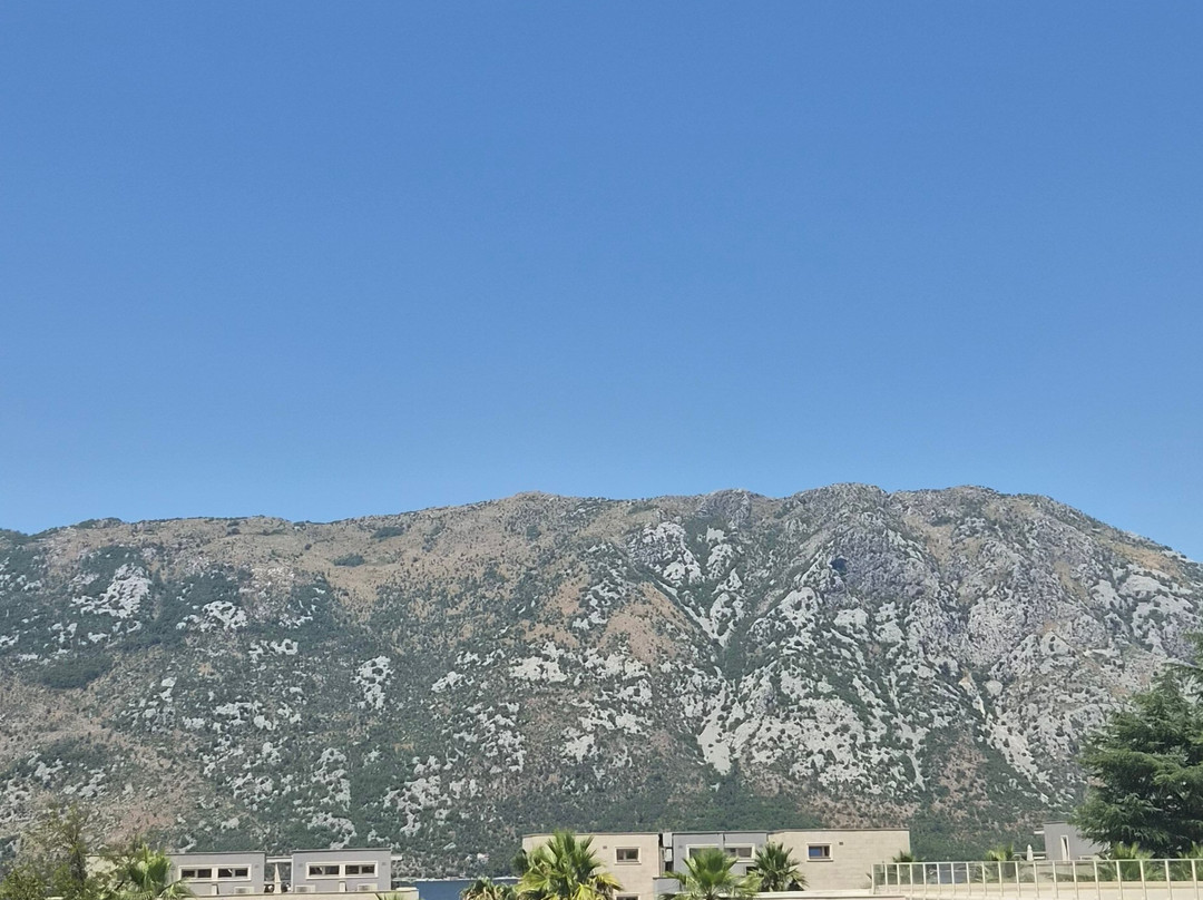 科托湾凯悦酒店度假村主图