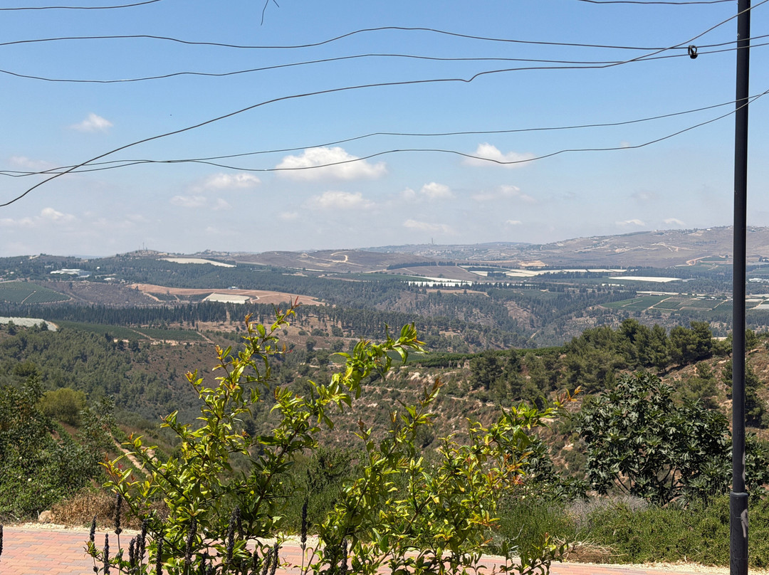 Ben Zimra Winery-Kerem Ben Zimra必去景点