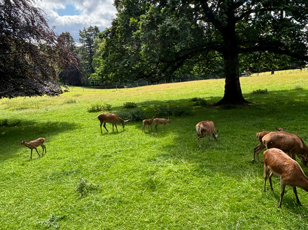 Blair Castle & Gardens-Blair Atholl必去景点