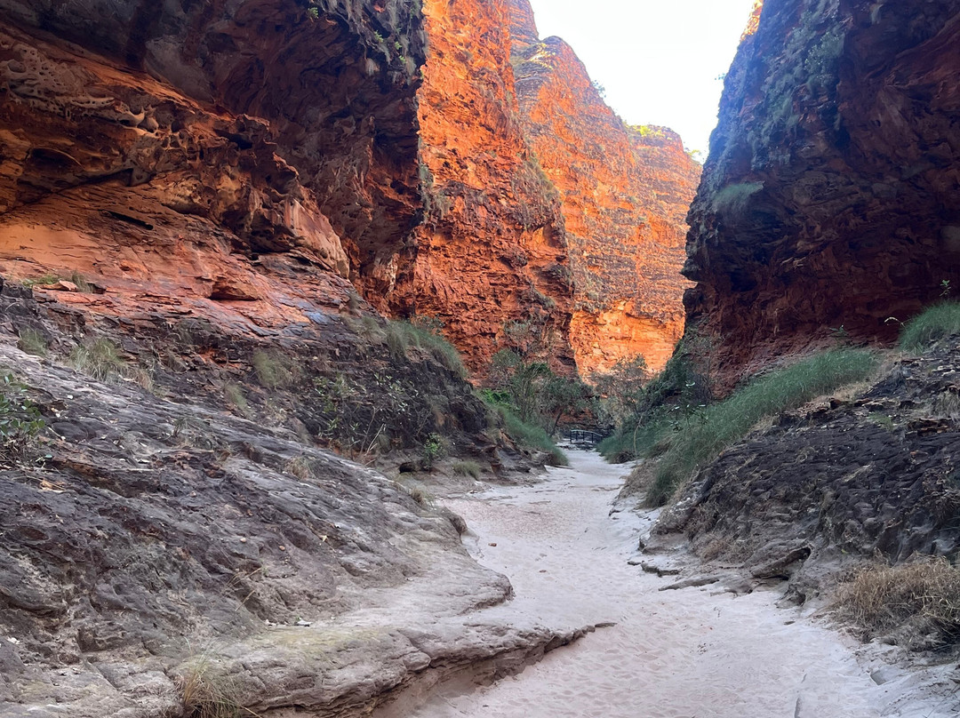 Adventure Wild Kimberley Tours-布鲁姆必去景点