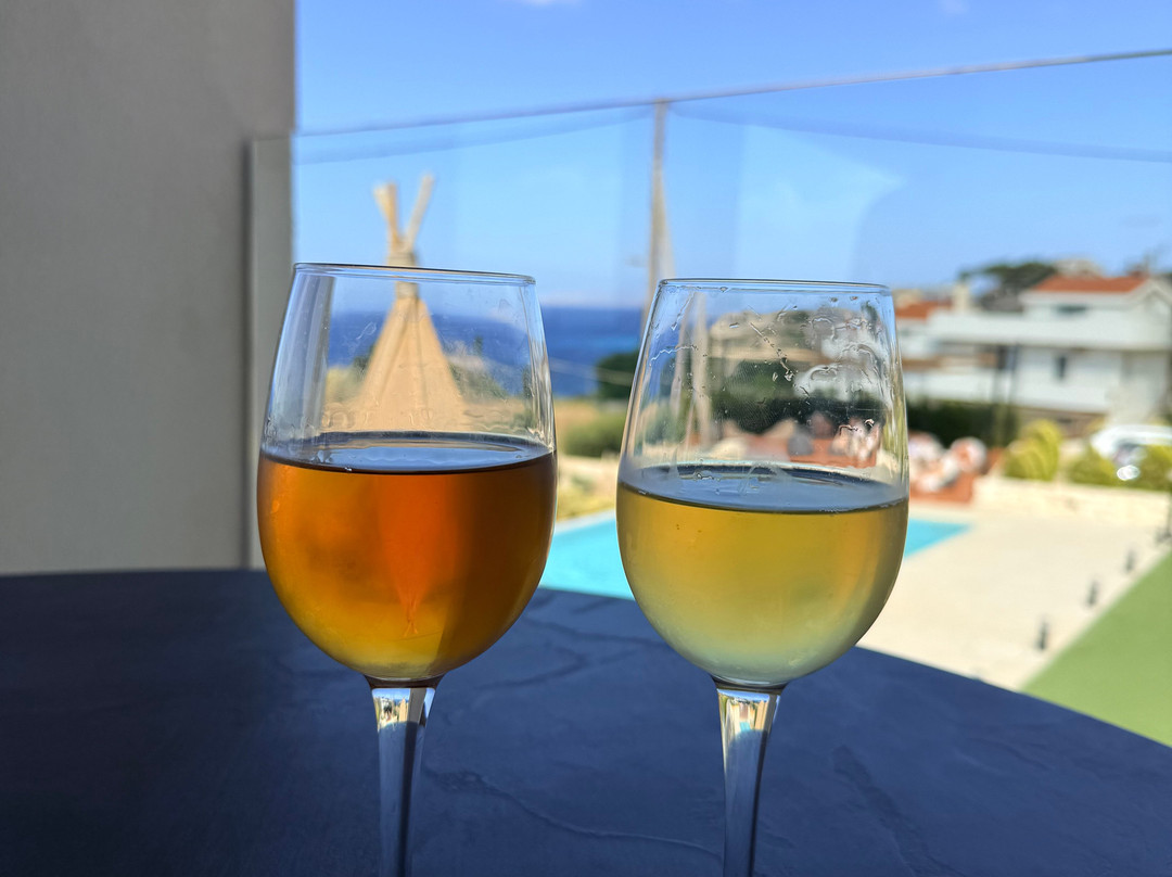 Thalassinos Microwinery-伊拉克利翁必去景点