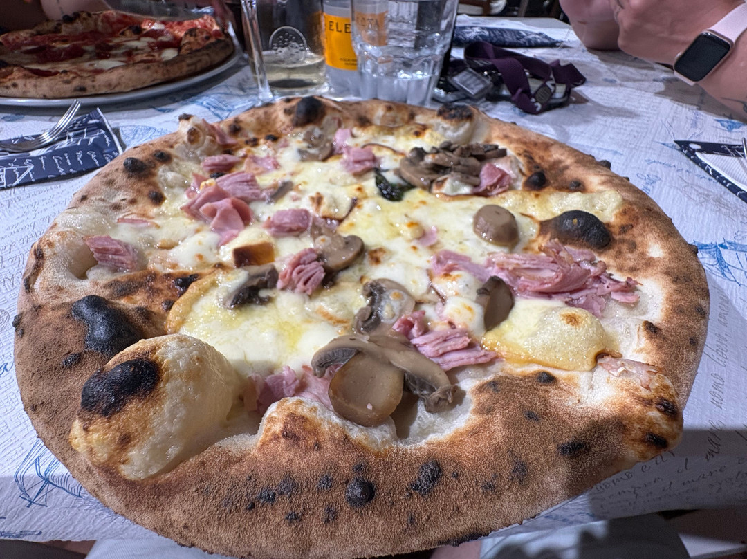 Il Pellicano