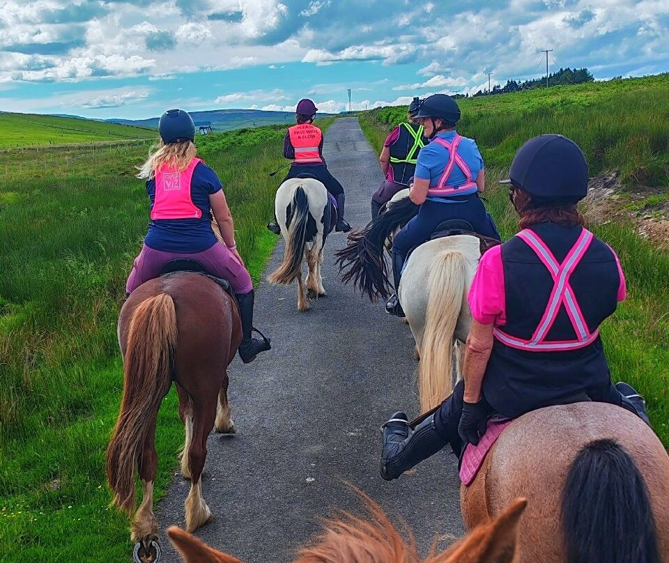 Springhill Farm Riding Stables-奥斯沃斯特必去景点