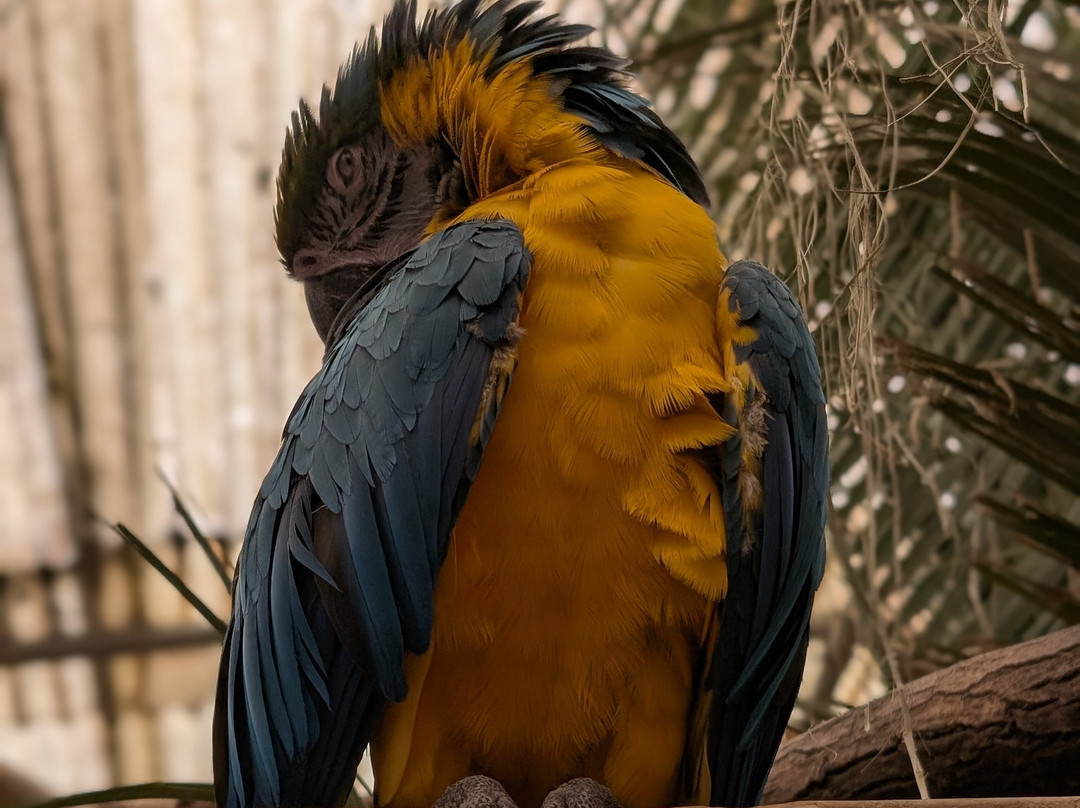 Wild Zoological Park-Bobbington必去景点
