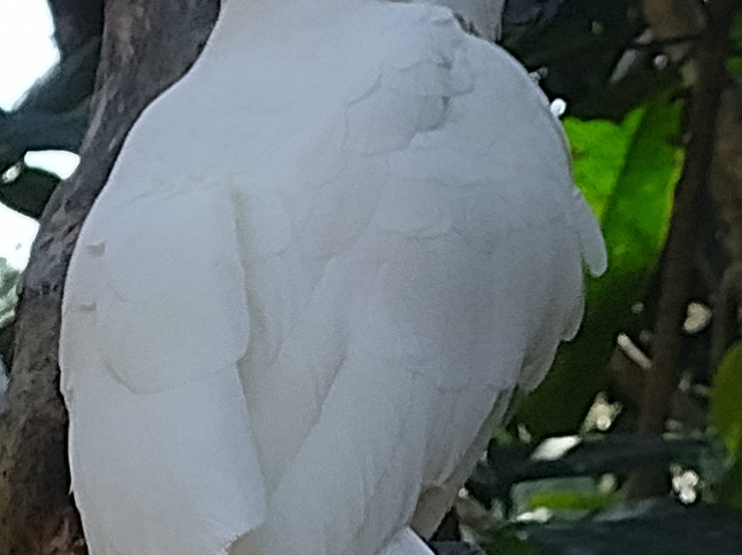 Lombok Wildlife Park-Tanjung必去景点