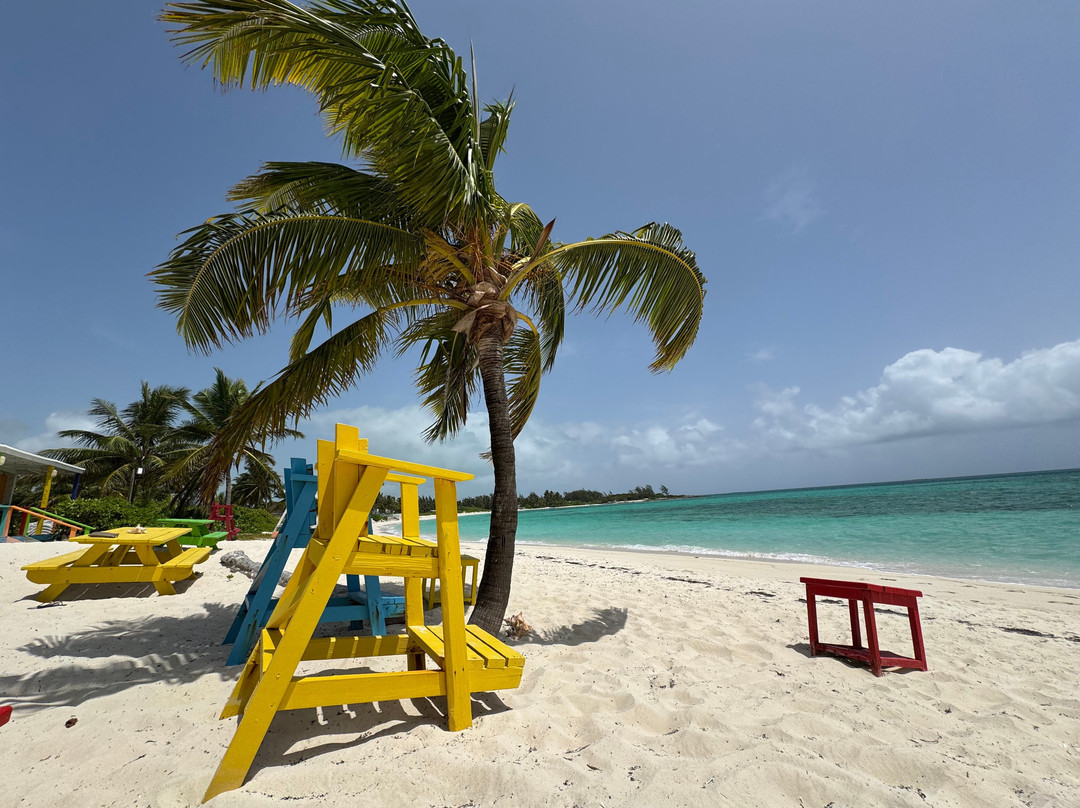 Turtles Nest Bahamas主图