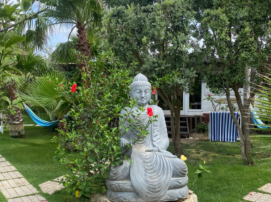 Floripa Yoga & Kitesurf House主图