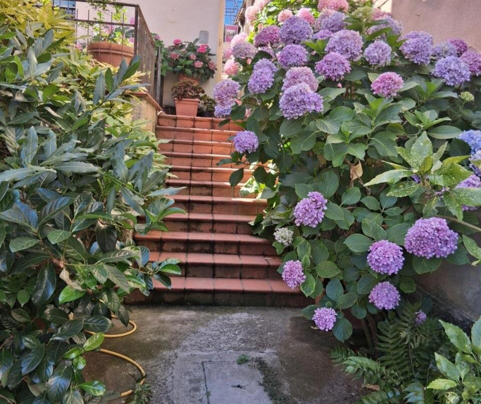Bonorva酒店住宿-B&B Le Ortensie
