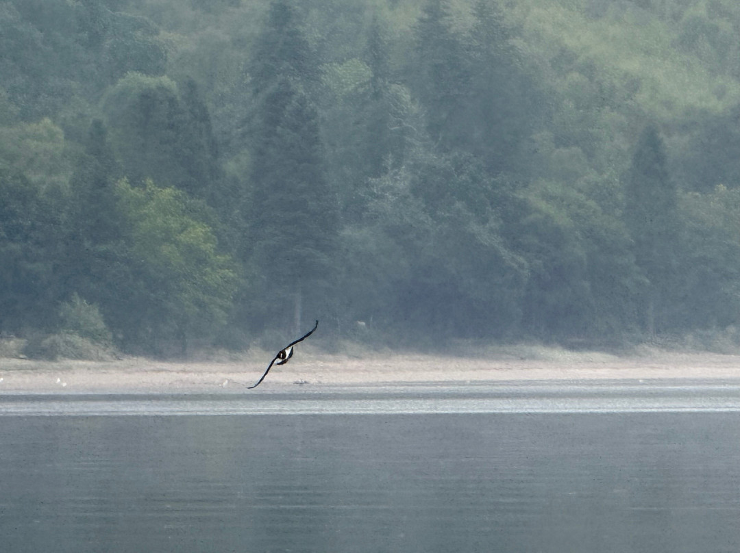 Loch Long-Arrochar必去景点