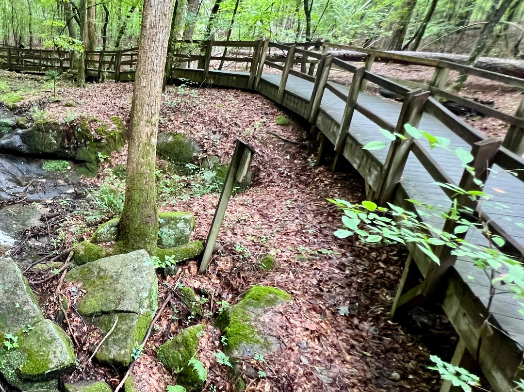 Clemmons Educational State Forest-Clayton必去景点