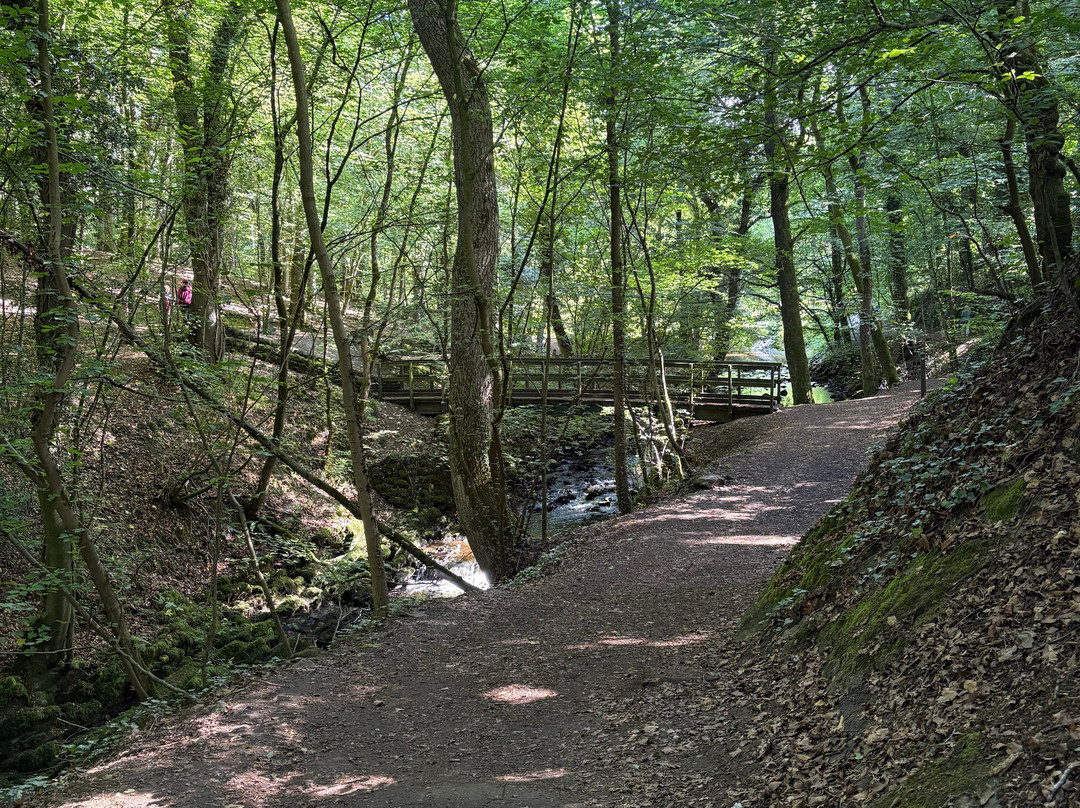 Skipton Castle Woods-斯基普顿必去景点