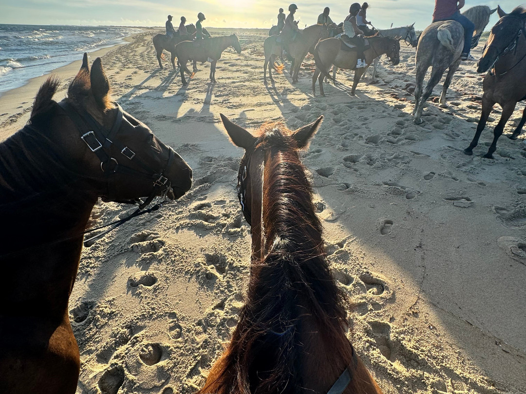 Equine Adventures-Frisco必去景点