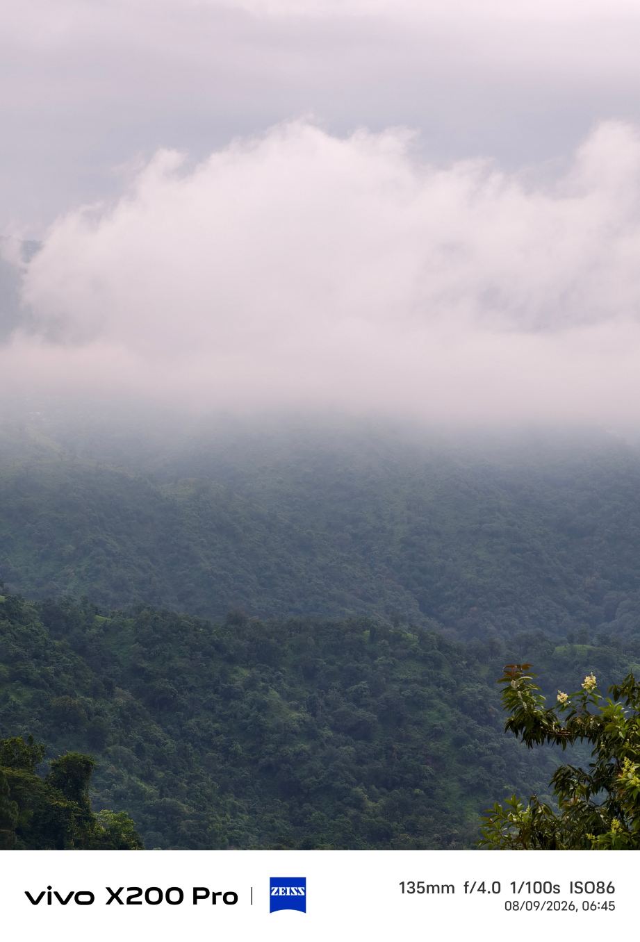 茨格内特山丘微风度假村-旅行者