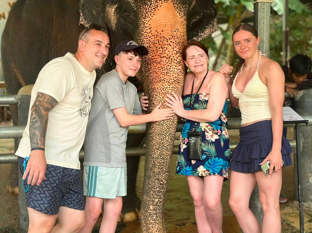 Elephant Care Park​ Phuket​-呈塔累必去景点
