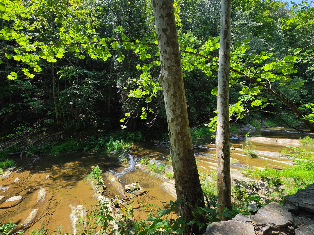 Natural Bridge State Park-天然桥必去景点