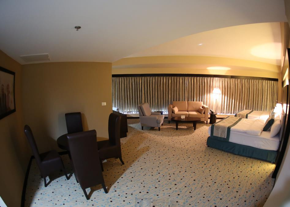 Eli酒店住宿-Palestine Plaza Hotel