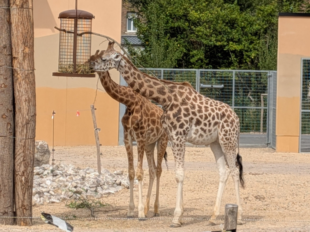 Zoo d'Amiens-亚眠必去景点