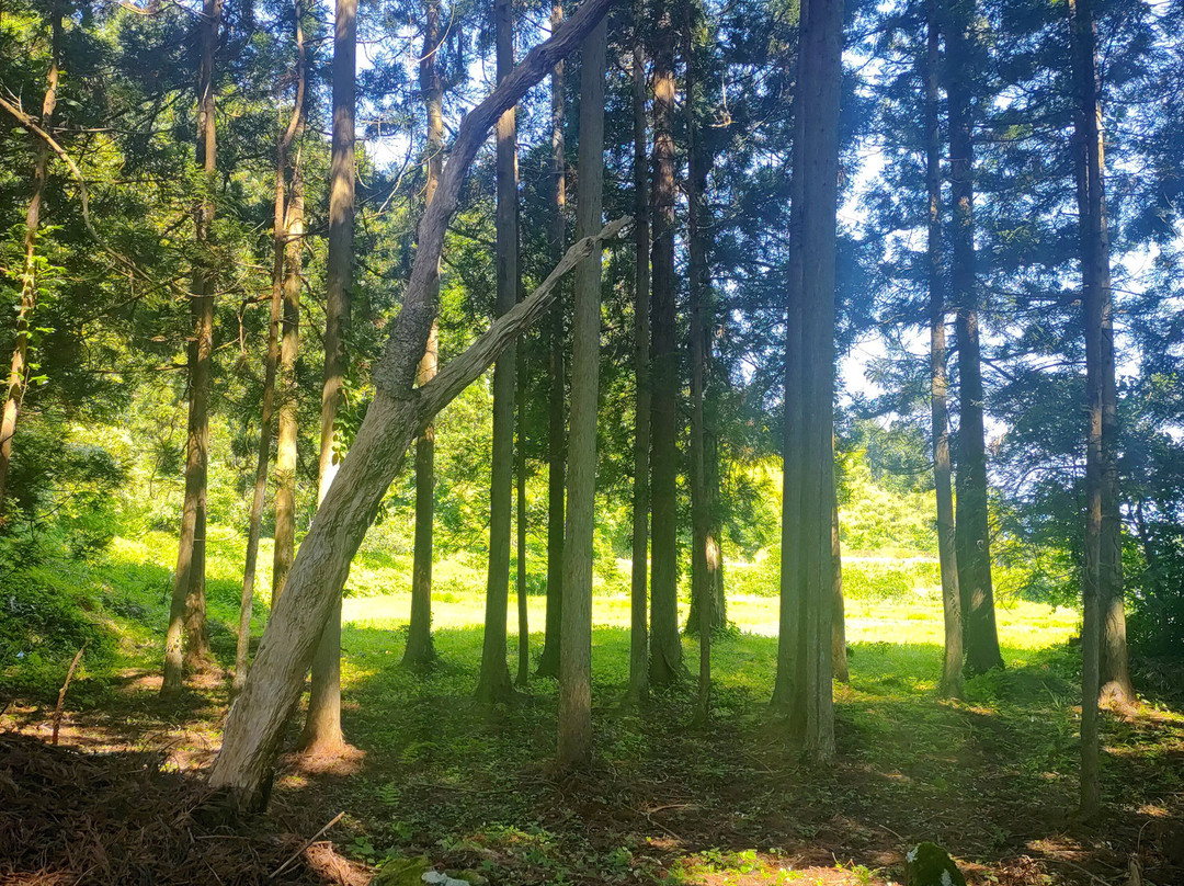 Tokoin Seisuiji Temple-佐渡市必去景点