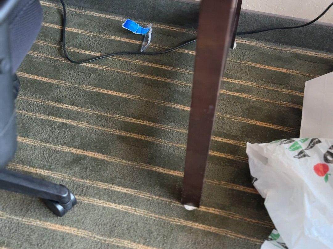 树屋贝斯特韦斯特优质酒店主图
