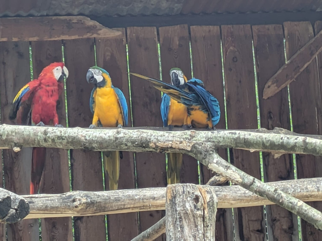 Parc Animalier Des Pyrénées-Ayzac-Ost必去景点