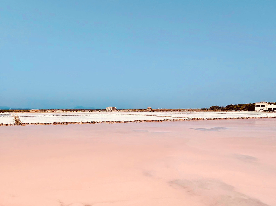 Saline of the Laguna Marsala-马尔萨拉必去景点