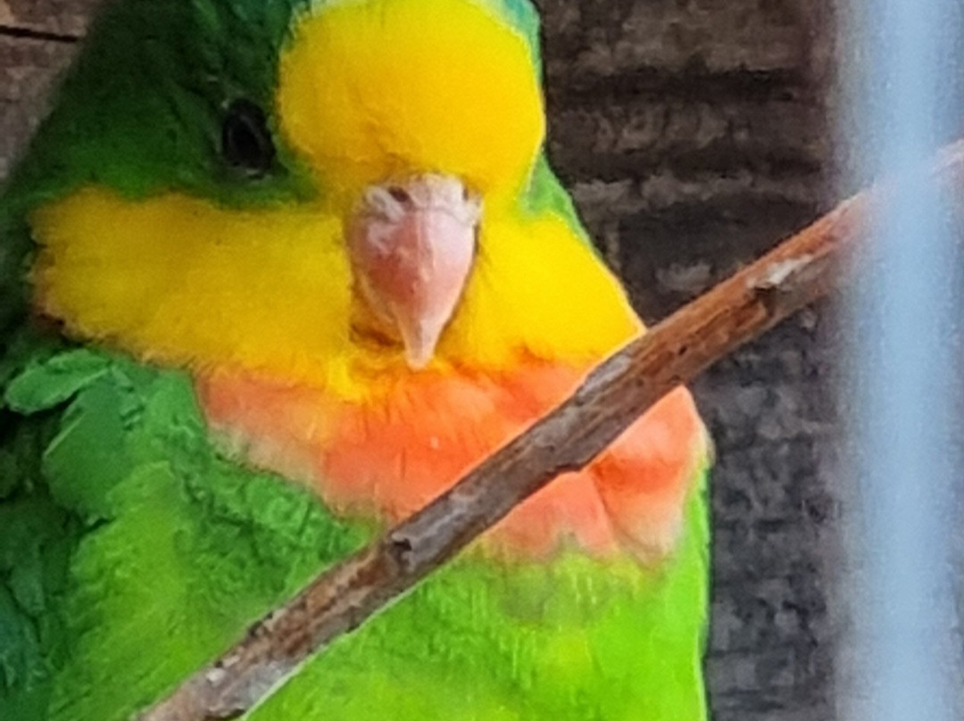 Filey Zoo-Filey必去景点