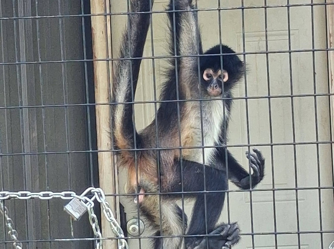 Zootastic Park-Troutman必去景点