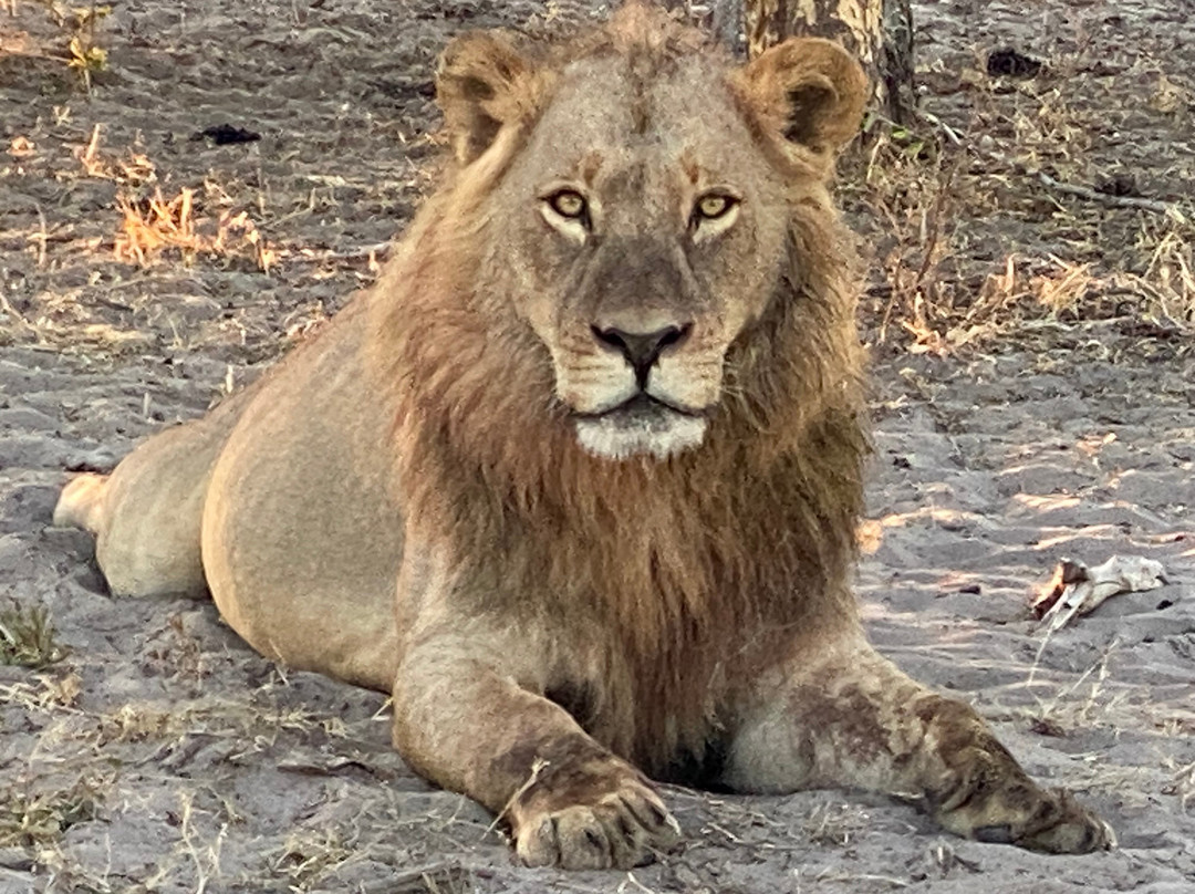 Letaka Safaris-马翁必去景点
