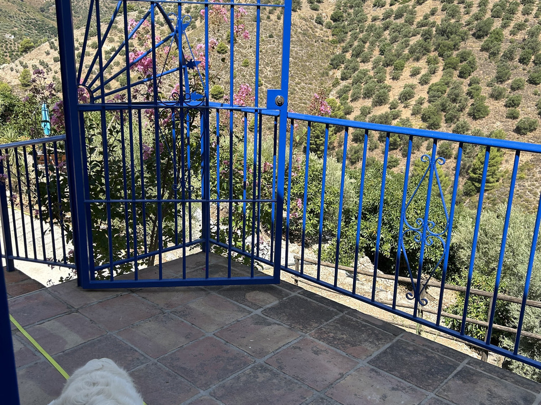 Finca Floretta主图