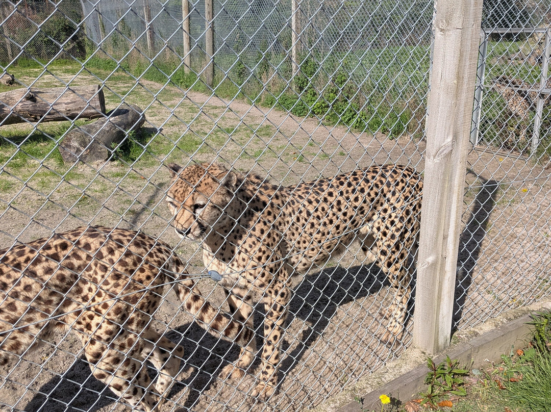 Five Sisters Zoo-West Calder必去景点