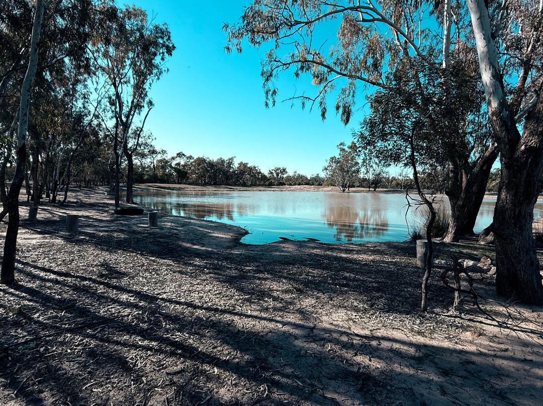 Carinya CAMPING, GLAMPING & TOURS-Lightning Ridge必去景点