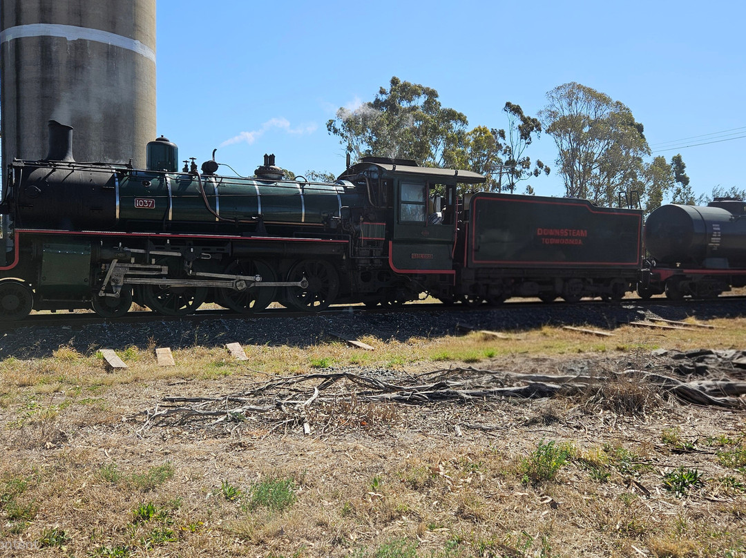 Downssteam Tourist Railway & Museum-图沃柏必去景点