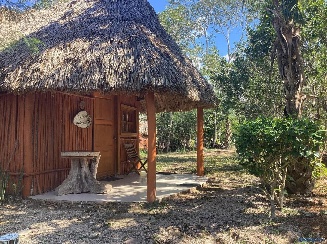 Selva Bonita Eco Lodge