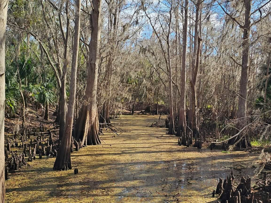 Black Bear Wilderness Area-桑福德必去景点