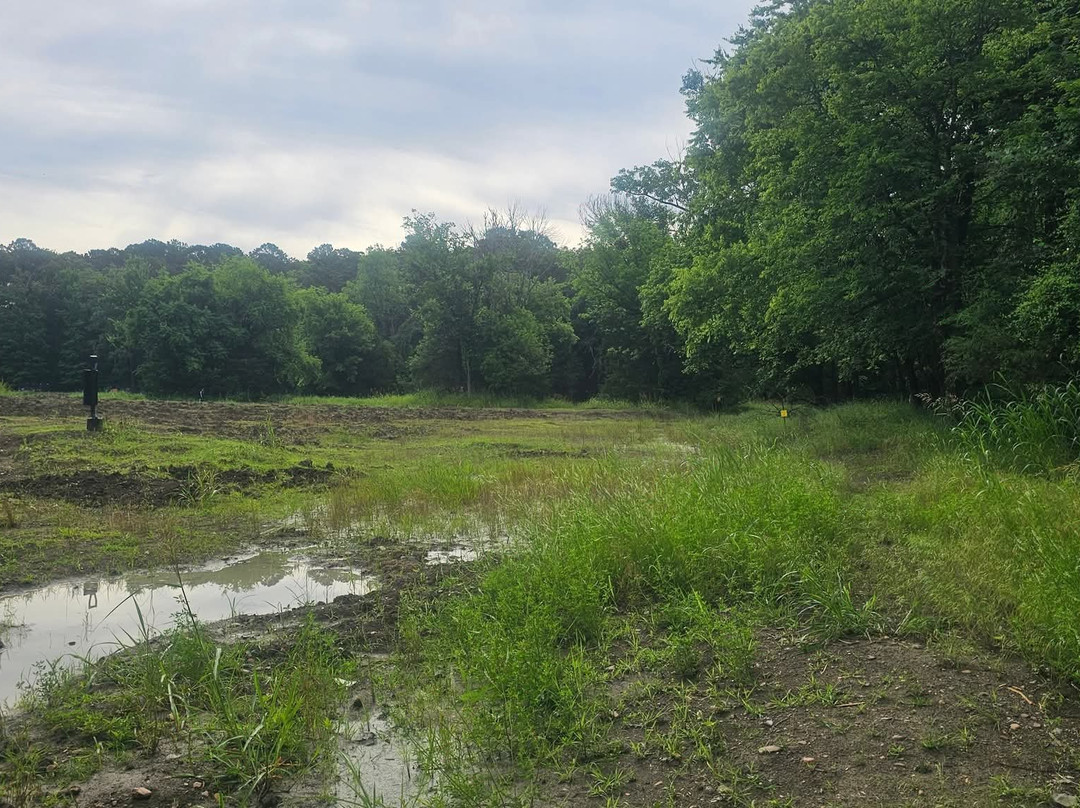 Crater of Diamonds State Park-Murfreesboro必去景点
