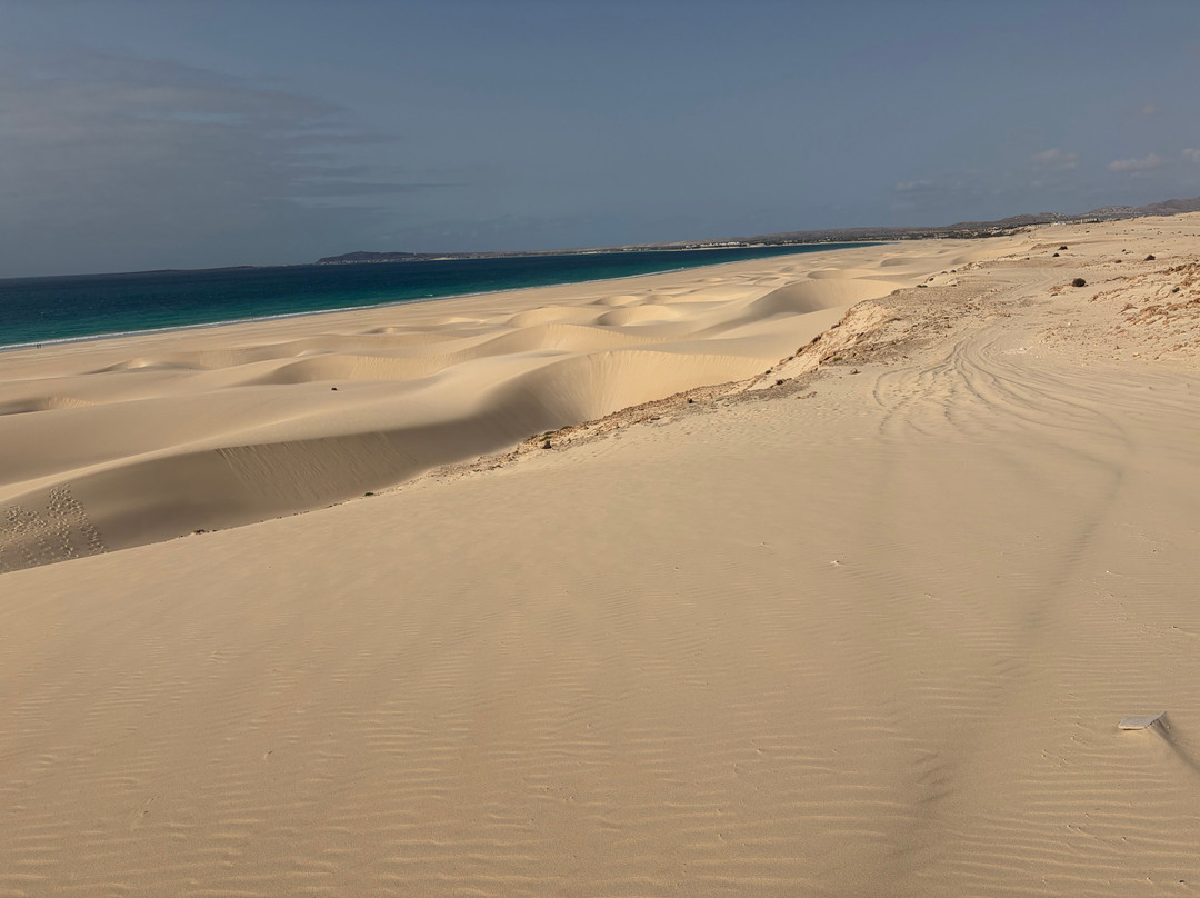Pier Boa Vista Tours-博阿维斯塔必去景点