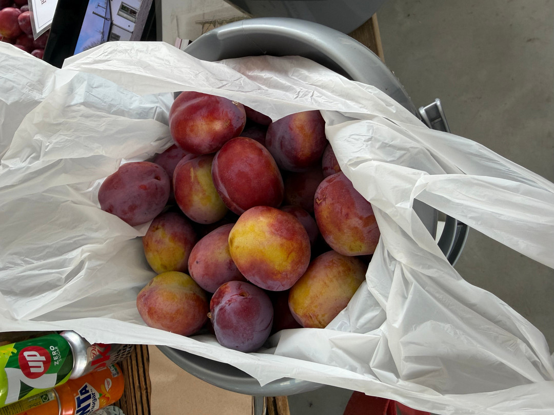 Bloomfield Fruit Farm-Chipping Ongar必去景点
