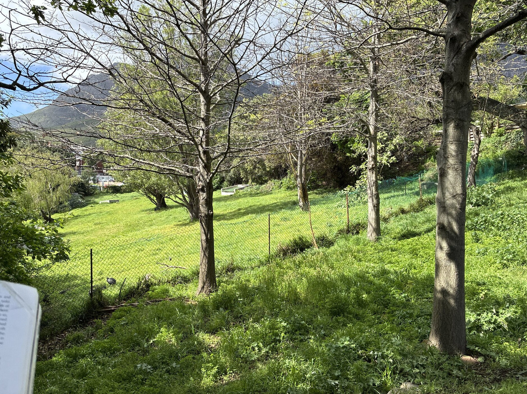 Cape Town Heritage Tours