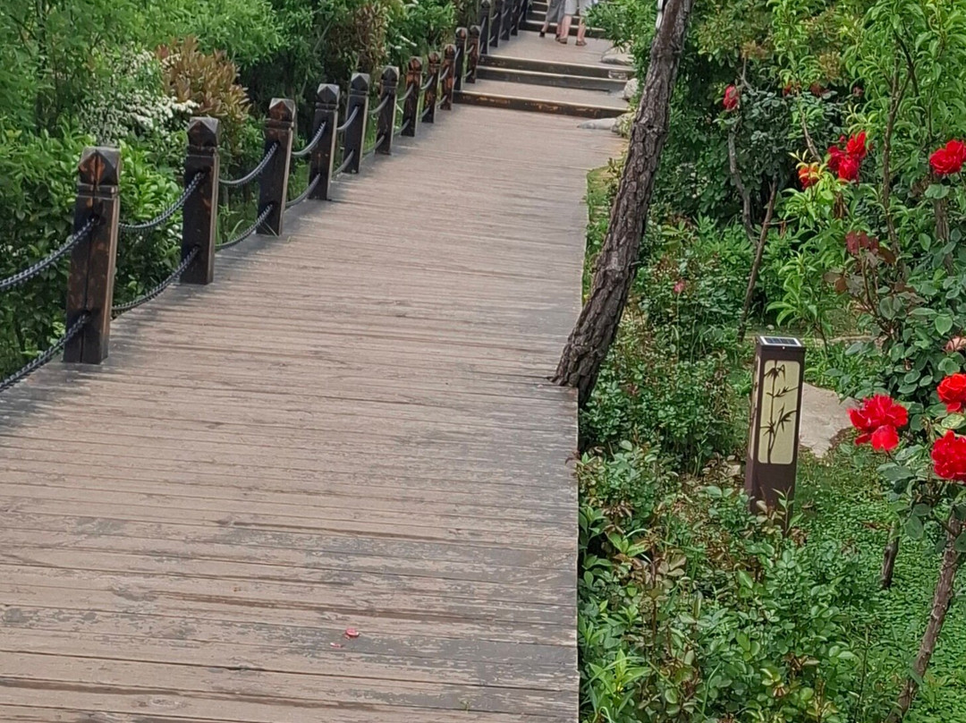 Top of the Three Peaks Gorges-奉节县必去景点