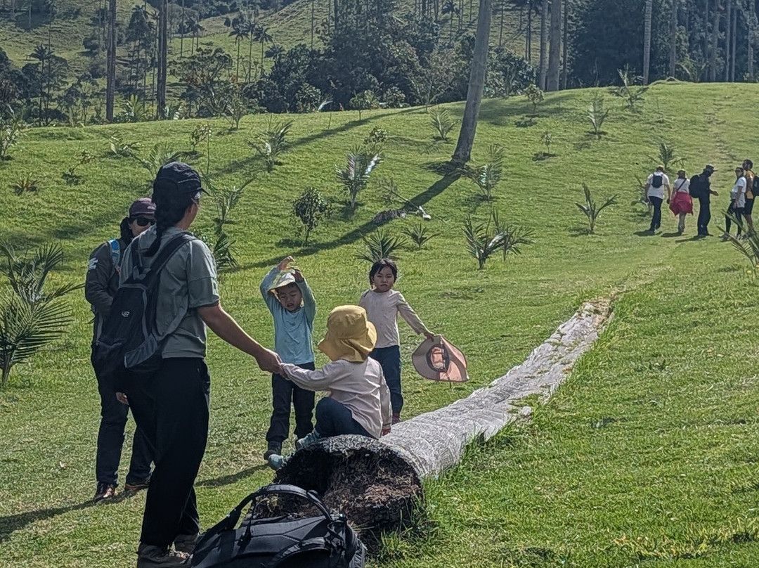 Paramo Trek Salento-萨伦托必去景点
