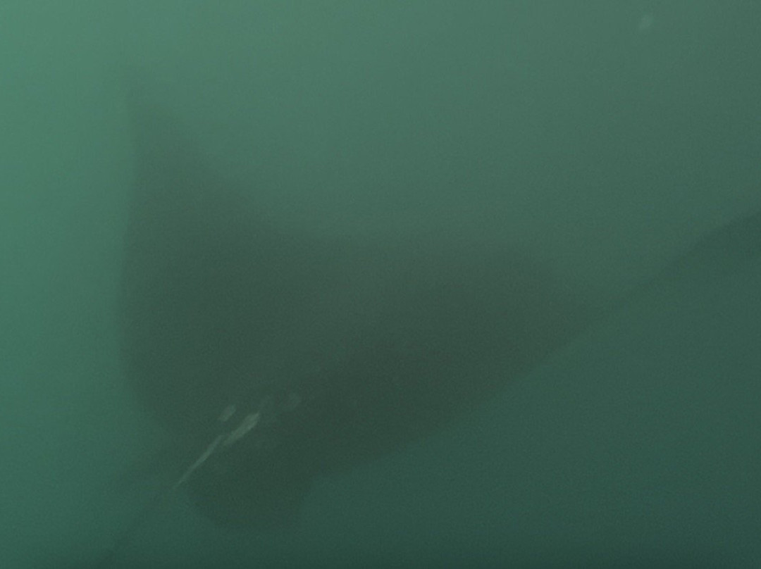 Kicker Rock-Puerto Baquerizo Moreno必去景点