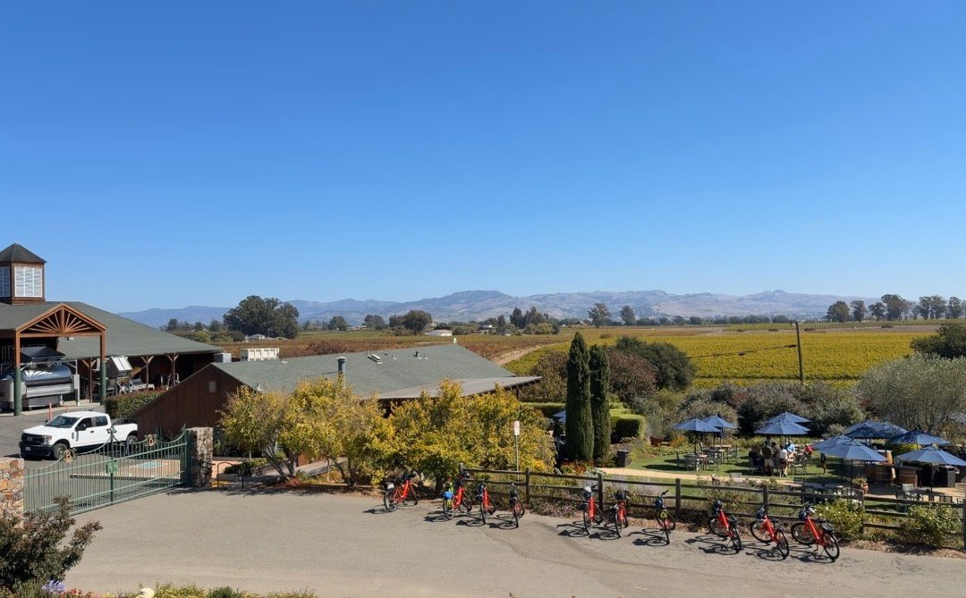 Bouchaine Vineyards - Napa Valley-纳帕必去景点