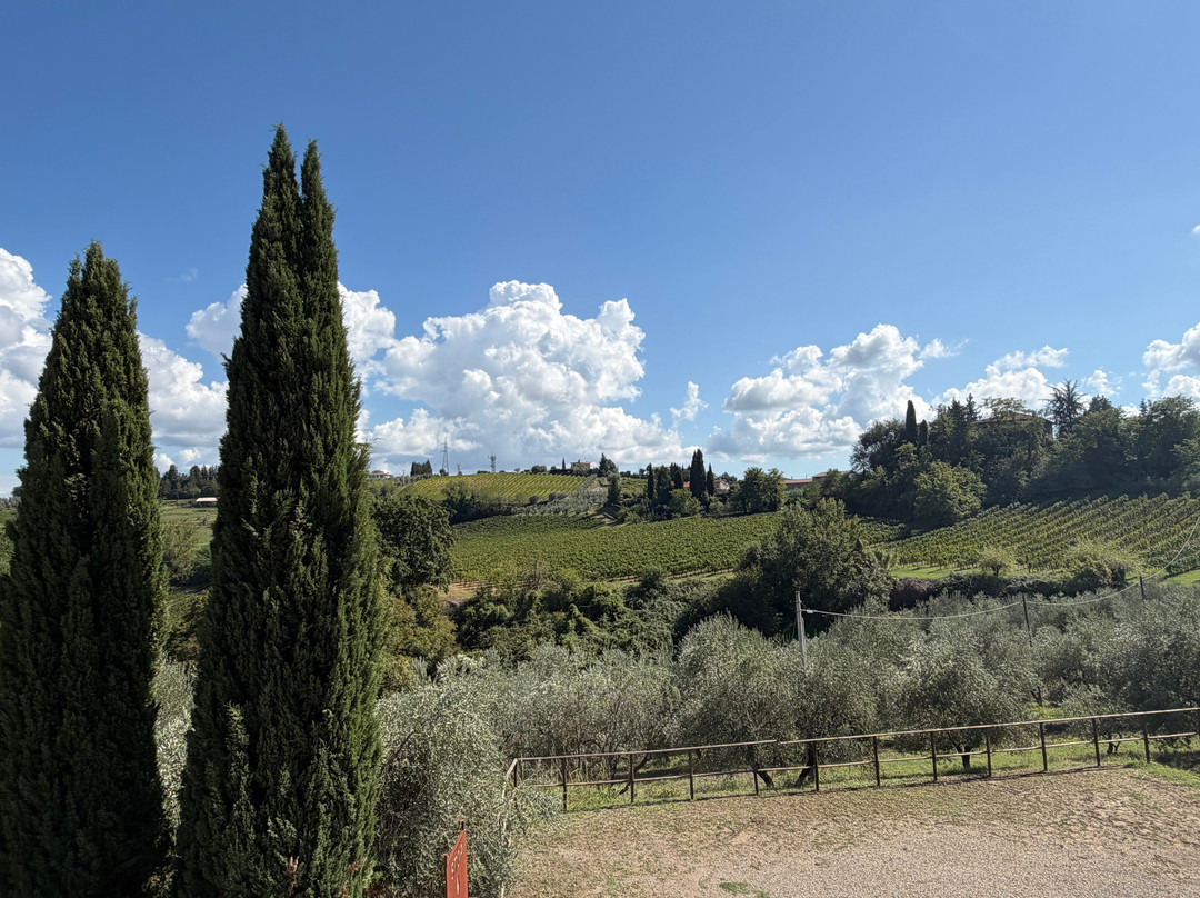 Tuscany Excursions-佛罗伦萨必去景点
