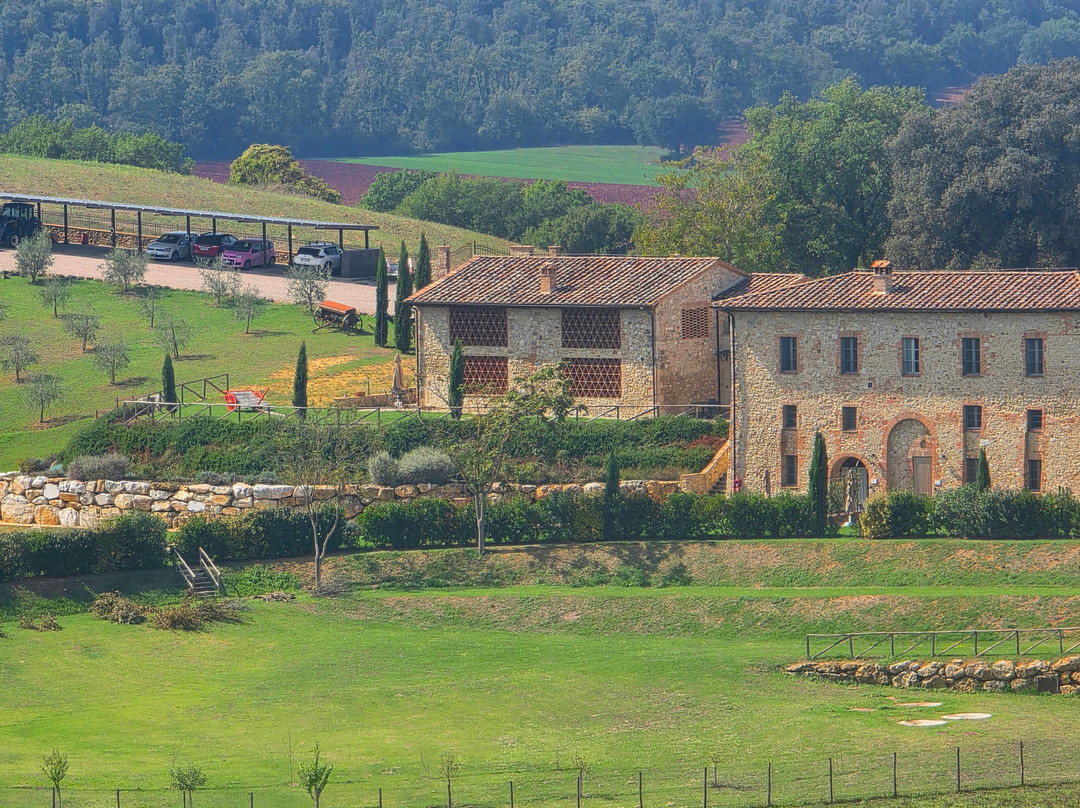 Luxury Tuscany Limo-斯坎迪奇必去景点